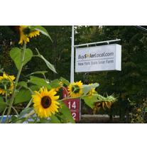 New York State Solar Farm logo